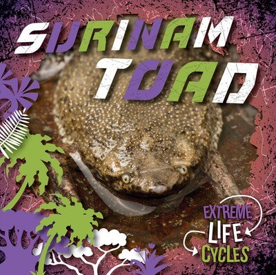 Surinam Toad by E.C. Andrews, 9781534547070