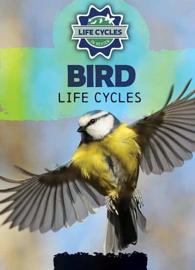Bird Life Cycles - 9781978539747 by Theresa Emminizer, 9781978539747