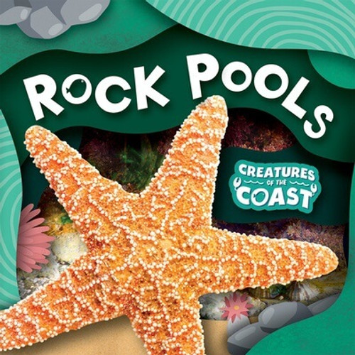 Rock Pools by Noah Leatherland, 9781538294659