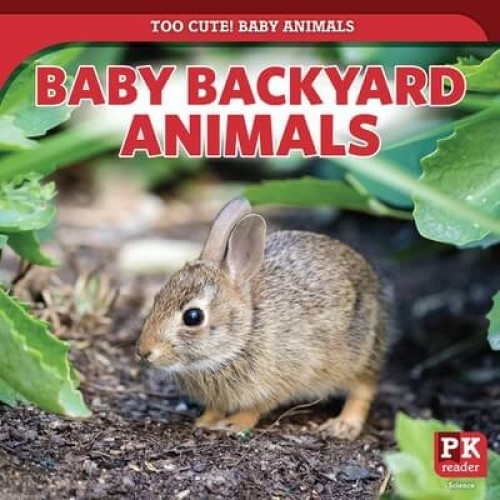 Baby Backyard Animals - 9781499445145 by Rachael Morlock