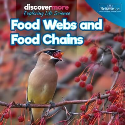 Food Webs and Food Chains by Ernest Brazzos, 9781641901581