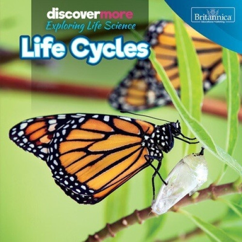 Life Cycles - 9781641901659 by Ernest Brazzos