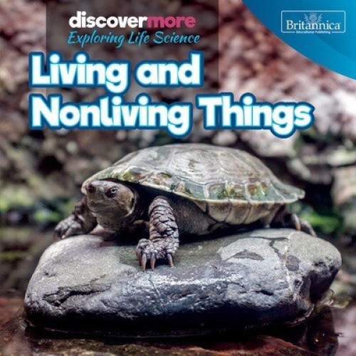 Living and Nonliving Things by Ernest Brazzos, 9781641901673