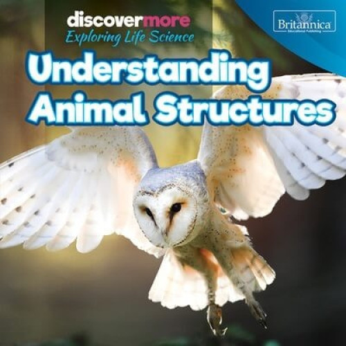 Understanding Animal Structures by Ernest Brazzos, 9781641901703