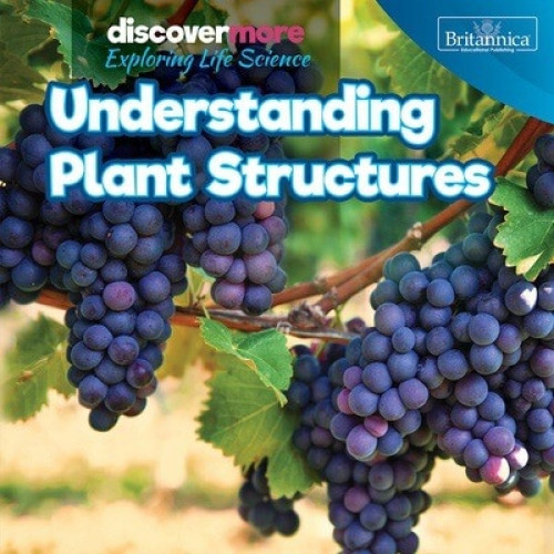 Understanding Plant Structures by Ernest Brazzos, 9781641901734
