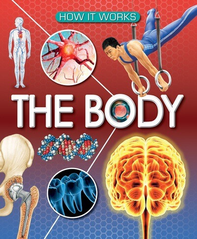 The Body - 9781502671820 by Dr. Kate Barnes, 9781502671820