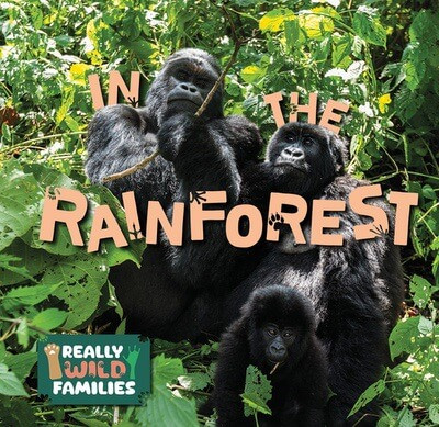 In the Rainforest - 9781978540958 by E.C. Andrews, 9781978540958