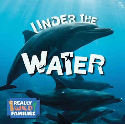 Under the Water by E.C. Andrews, 9781978541047