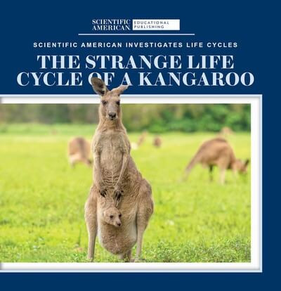 The Strange Life Cycle of a Kangaroo by Anna McDougal, 9781725350878