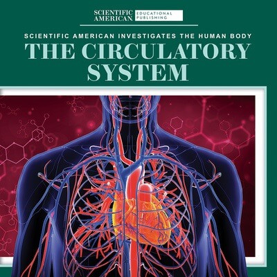 The Circulatory System - 9781725351363 by Leigh McClure, 9781725351363