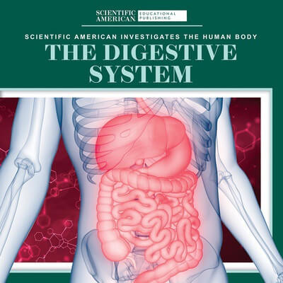 The Digestive System - 9781725351387 by Leigh McClure, 9781725351387