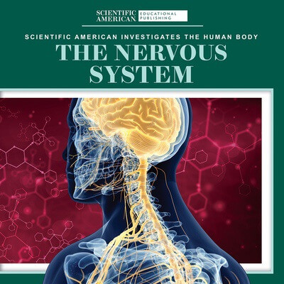 The Nervous System - 9781725351448 by Leigh McClure, 9781725351448