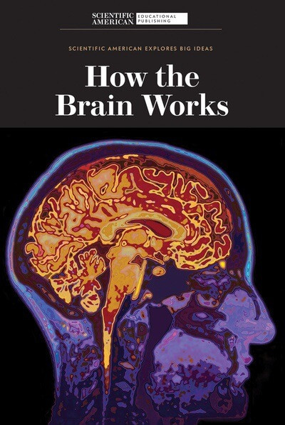 How the Brain Works by Scientific American Editors, 9781725351776