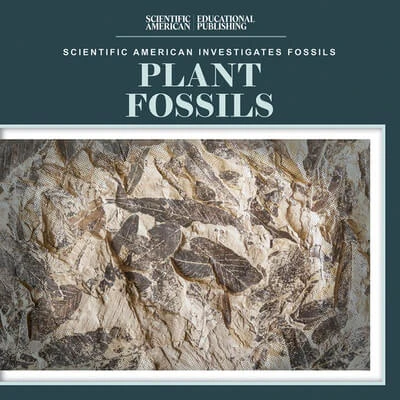 Plant Fossils - 9781725352070 by Natalie Humphrey, 9781725352070