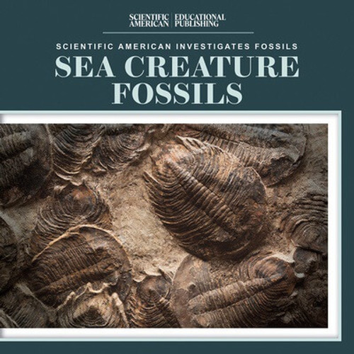 Sea Creature Fossils - 9781725352100 by Natalie Humphrey, 9781725352100