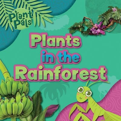 Plants in the Rainforest by E.C. Andrews, 9781534548862