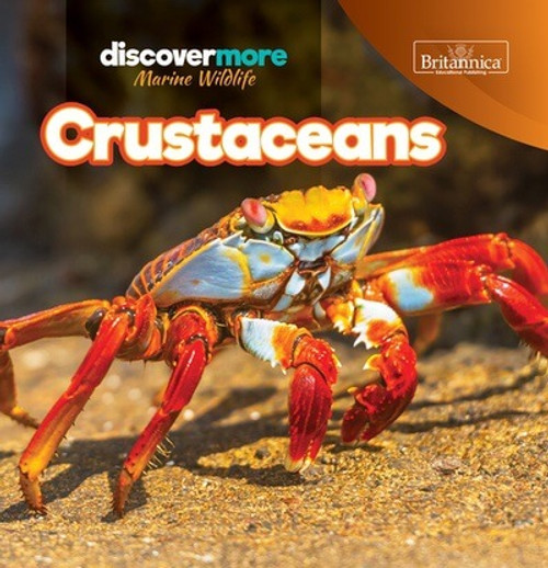 Crustaceans - 9781641903509 by Kaitlyn Salvatore, 9781641903509