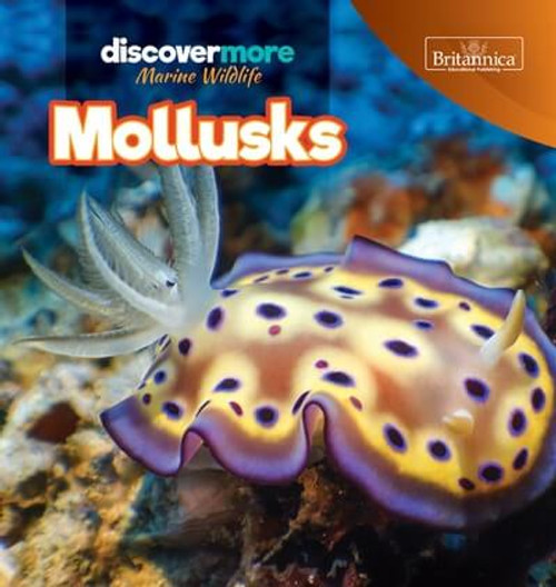 Mollusks - 9781641903561 by Kaitlyn Salvatore, 9781641903561