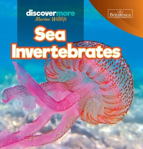 Sea Invertebrates - 9781641903608 by Kaitlyn Salvatore, 9781641903608