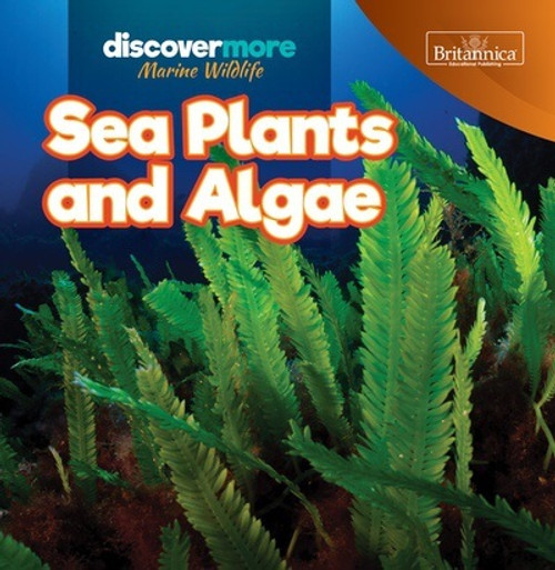 Sea Plants and Algae - 9781641903660 by Kaitlyn Salvatore, 9781641903660