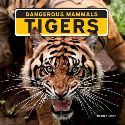 Tigers - 9781684502691 by Madison Parker, 9781684502691