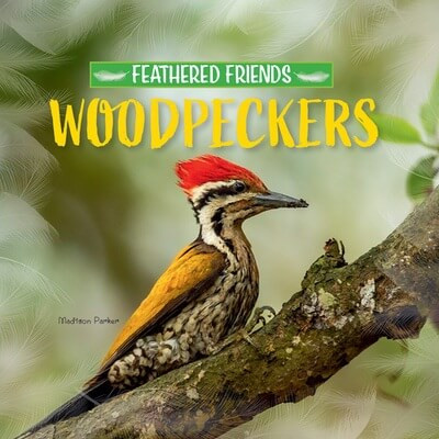 Woodpeckers - 9781684502905 by Madison Parker, 9781684502905