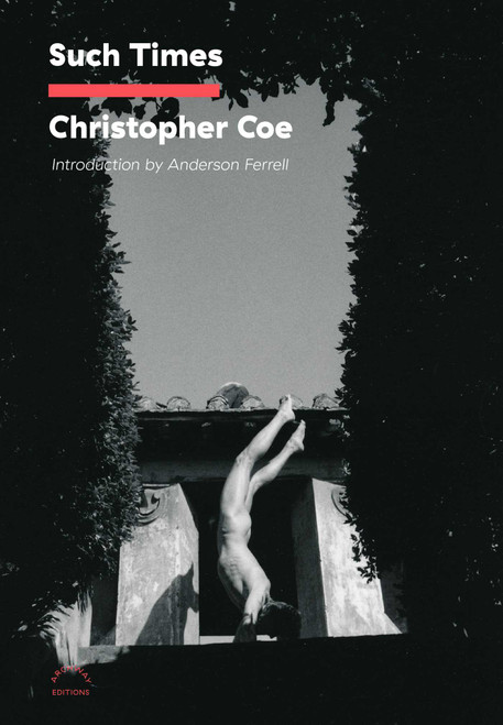 Such Times by Christopher Coe, 9781648230912