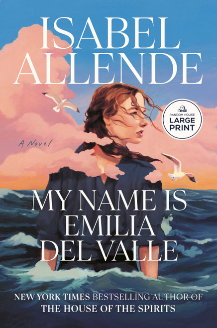 My Name Is Emilia del Valle (A Novel) - 9798217083565 by Isabel Allende, Frances Riddle, 9798217083565