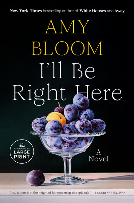 I'll Be Right Here (A Novel) - 9798217083640 by Amy Bloom, 9798217083640