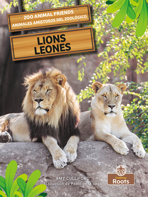 Leones (Lions) Bilingual Eng/Spa - 9781039818200 by Amy Culliford, Pablo de la Vega, 9781039818200