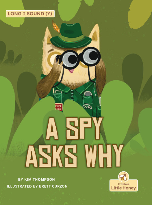 A Spy Asks Why by Kim Thompson, Brett Curzon, 9781039864634