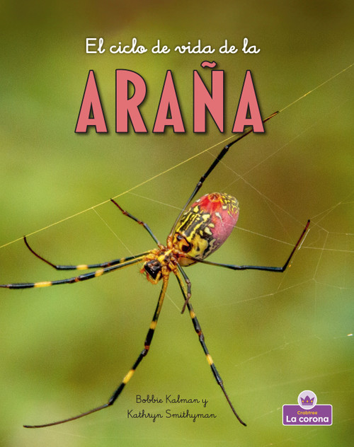 El ciclo de vida de la araña - second edition (The Life Cycle of a Spider) - 9781039865716 by Bobbie Kalman, 9781039865716