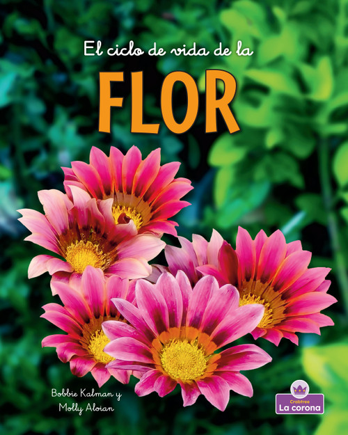 El ciclo de vida de la flor - second edition (The Life Cycle of a Flower) - 9781039865723 by Bobbie Kalman, 9781039865723
