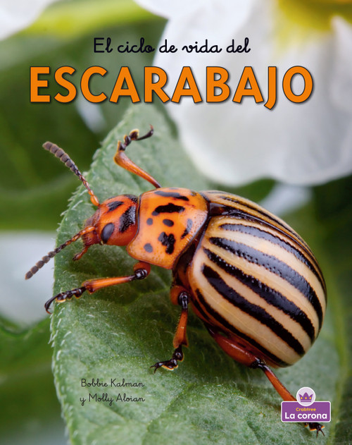 El ciclo de vida del escarabajo - second edition (The Life Cycle of a Beetle) - 9781039865778 by Bobbie Kalman, 9781039865778