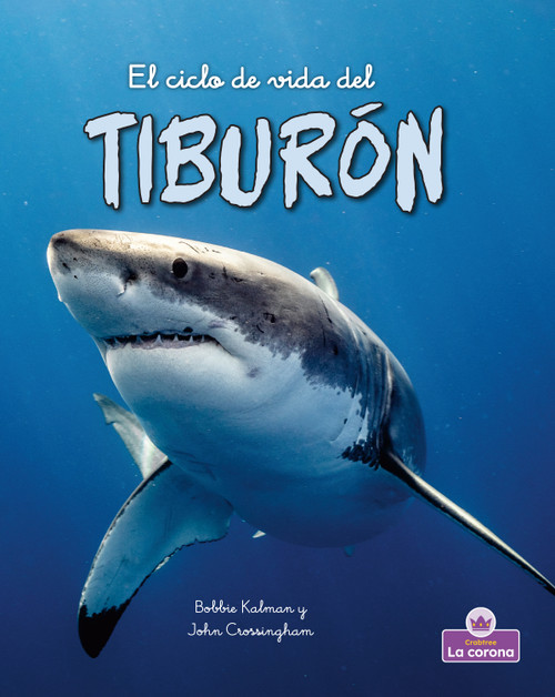 El ciclo de vida del tiburón - second edition (The Life Cycle of a Shark) by Bobbie Kalman, 9781039865129