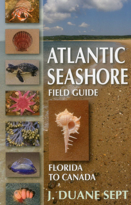 Atlantic Seashore Field Guide (Florida to Canada) by J. Duane Sept, 9780811714211