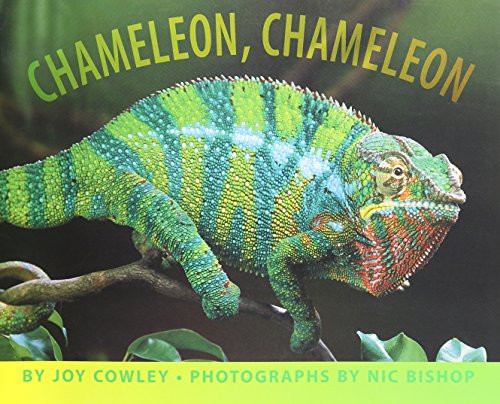 Chameleon, Chameleon (Little Big Book Grade K) by Reading, 9780547009315