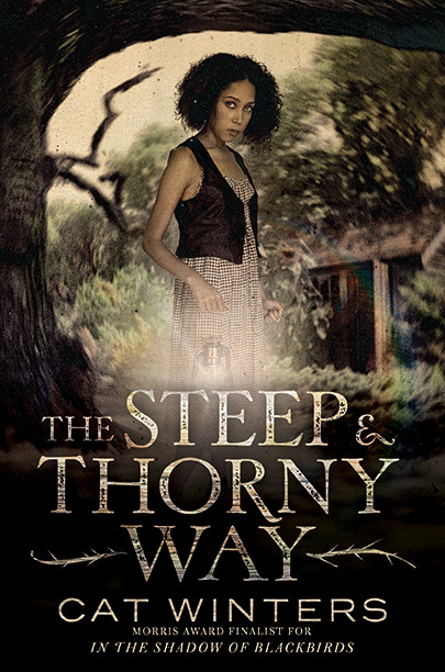 The Steep and Thorny Way by Cat Winters, 9781419719158