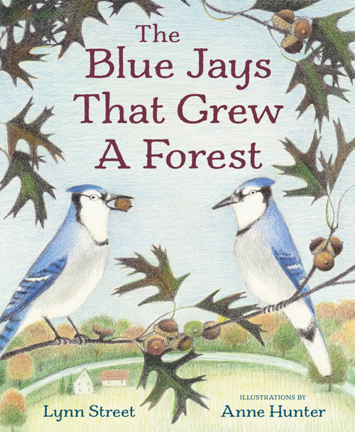 The Blue Jays That Grew a Forest by Lynn Street, Anne Hunter, 9781682636046