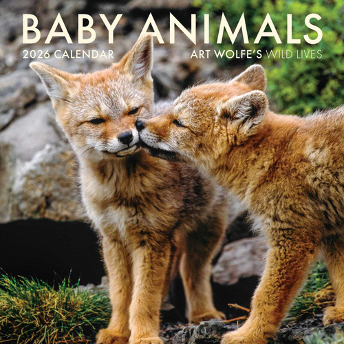 2026 Baby Animals Wall Calendar (Art Wolfe's Wild Lives) by Art Wolfe, 9798887621562