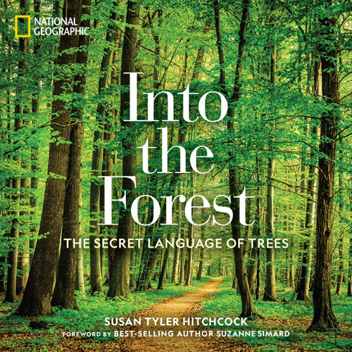 Into the Forest (The Secret Language of Trees) by Susan Tyler Hitchcock, 9781426218903