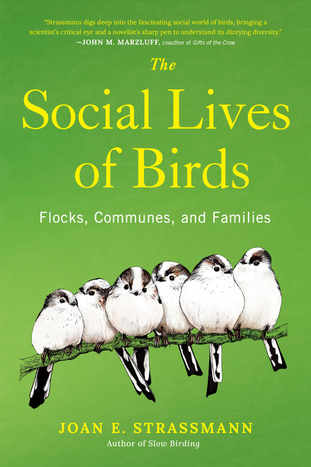 The Social Lives of Birds (Flocks, Communes, and Families) by Joan E. Strassmann, 9780593853061