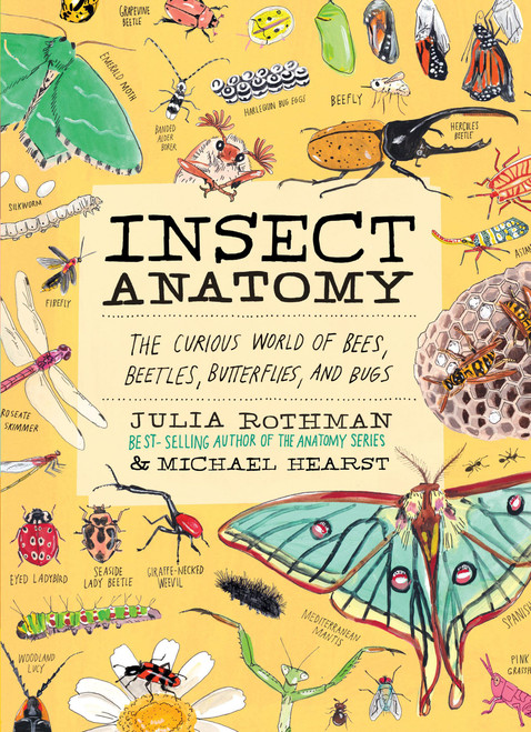 Insect Anatomy (The Curious World of Bees, Beetles, Butterflies, and Bugs) by Julia Rothman, Michael Hearst, 9781635868784