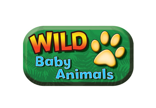 Wild Baby Animals (Set) by Ruth Owen, 9781642808995