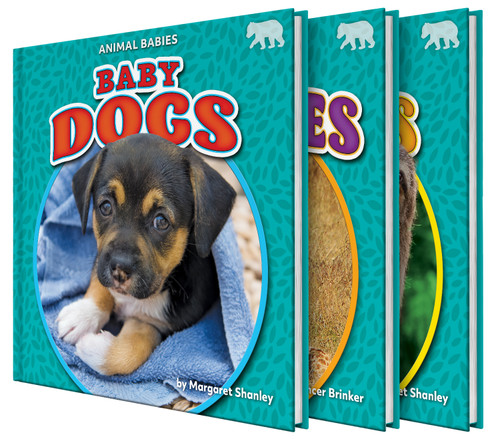 Animal Babies Set One (Set) by , 9781642809619