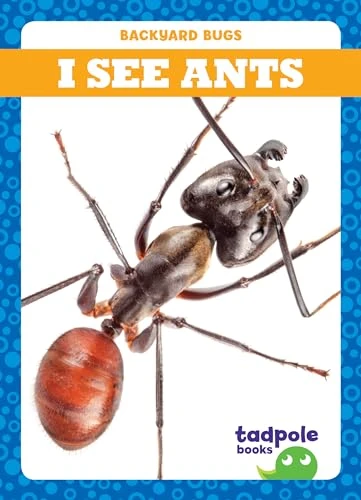 I See Ants by Genevieve Nilsen, Clayton Hansen, 9781641282161