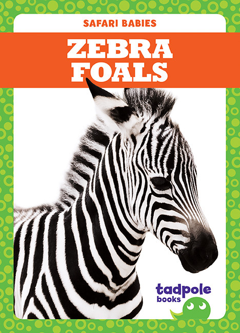 Zebra Foals by Genevieve Nilsen, 9781641282499