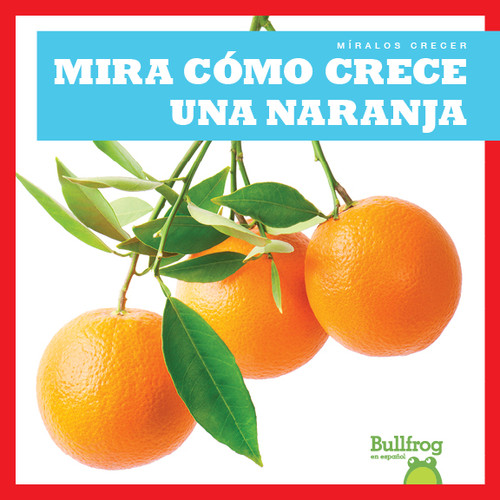 Mira cómo crece una naranja (Watch an Orange Grow) by Kirsten Chang, 9781641285179