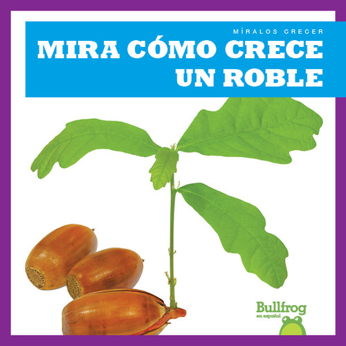 Mira cómo crece un roble (Watch an Oak Tree Grow) by Kirsten Chang, 9781641285230