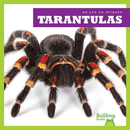 Tarantulas - 9781624967948 by Kristine Spanier, 9781624967948